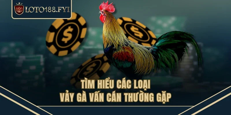 Tìm hiểu các loại vảy gà vấn cán thường gặp