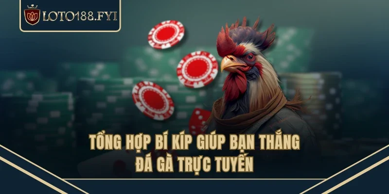 Tổng hợp bí kíp giúp bạn thắng đá gà trực tuyến