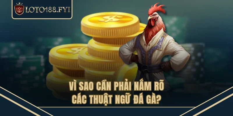 Vì sao cần phải nắm rõ các thuật ngữ đá gà?