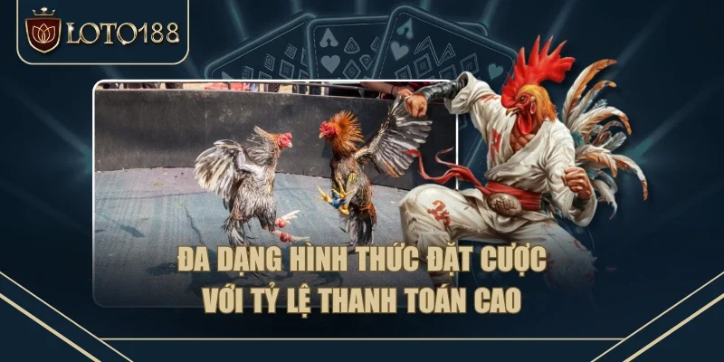 Đa dạng hình thức đặt cược với tỷ lệ thanh toán cao Đa dạng hình thức đặt cược với tỷ lệ thanh toán cao